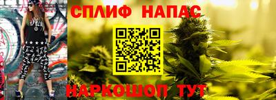амф Берёзовский