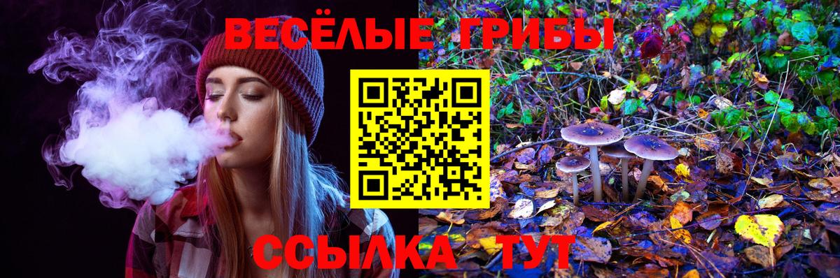 продажа наркотиков  Вход с VPN  Ишимбай  Галлюциногенные грибы Cubensis  Псилоцибиновые грибы Psilocybe 